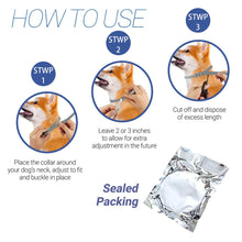 將圖片載入圖庫檢視器 Dewel Anti Flea Ticks Insect Mosquitoes 8 Months Protection Waterproof Long Lasting Dog Collar Custom Puppy Cat Pet Collars
