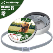 將圖片載入圖庫檢視器 Dewel Anti Flea Ticks Insect Mosquitoes 8 Months Protection Waterproof Long Lasting Dog Collar Custom Puppy Cat Pet Collars
