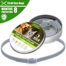 將圖片載入圖庫檢視器 Dewel Anti Flea Ticks Insect Mosquitoes 8 Months Protection Waterproof Long Lasting Dog Collar Custom Puppy Cat Pet Collars
