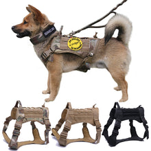 將圖片載入圖庫檢視器 Military Tactical Dog Harness German Shepherd Pet Dog Vest With Handle Nylon Bungee Dog Leash Harness For Small Large Dogs Puppy
