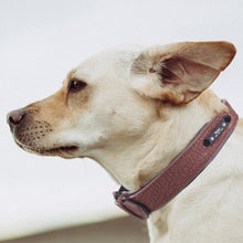 將圖片載入圖庫檢視器 Personalized Dog Collars adjustable Soft Leather Custom Dog Collar Name ID Tags For Cat puppy Large Dogs collar Pet Accessories
