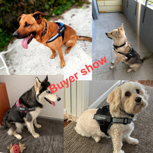 將圖片載入圖庫檢視器 Personalized Dog Harness NO PULL Reflective Breathable Adjustable Pet Harness For Small large Dog Harness Vest With Custom patch
