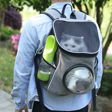 將圖片載入圖庫檢視器 Pet Dog Water Bottle Portable Drinking water Feeder Bowl dog cat food feeding for Puppy dog cat Outdoor Walking Travel Supplies
